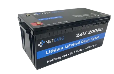 Bláorku  LiFePO4 Battery 51,2V/100Ah hitaður - 5,12kWh