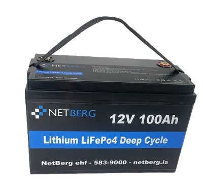 Bláorku LiFePO4 Battery 12,8V/100Ah hitaður - 1,28kWh